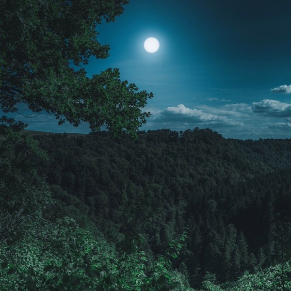A Moonlit Path - EP