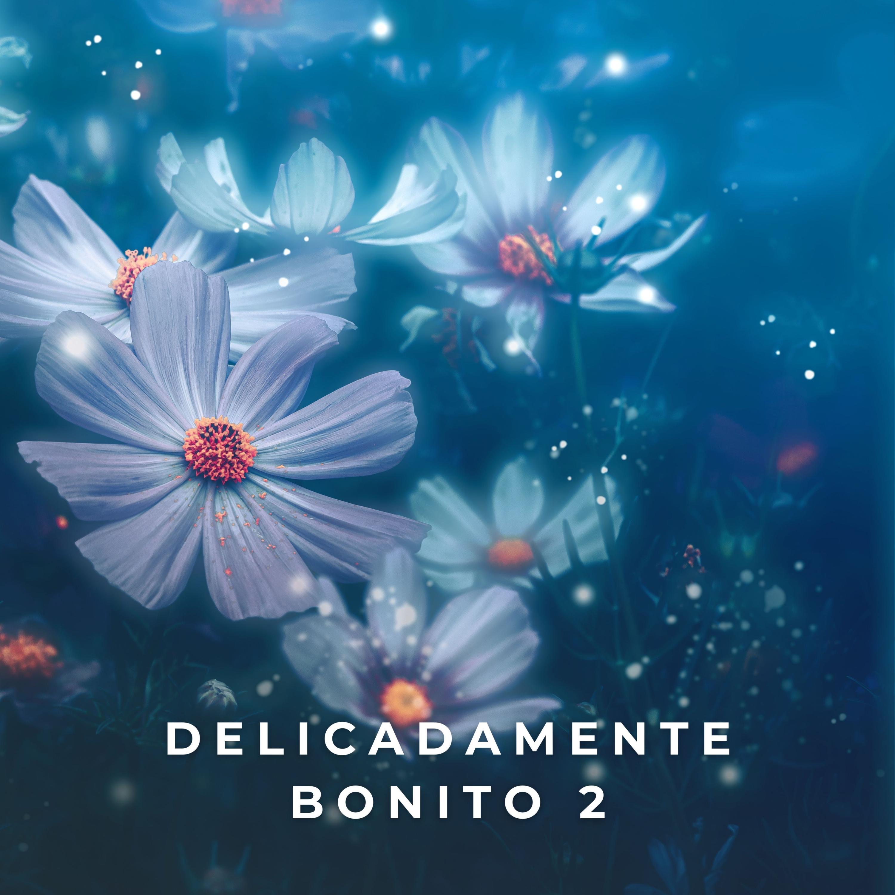 Delicadamente Bonito - Musicas de Fundo: Song Lyrics, Music Videos \u0026  Concerts, image size:3000x3000