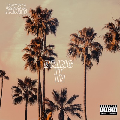 Bring It In - Single