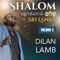 Solli Solli - Dilan Lamb lyrics