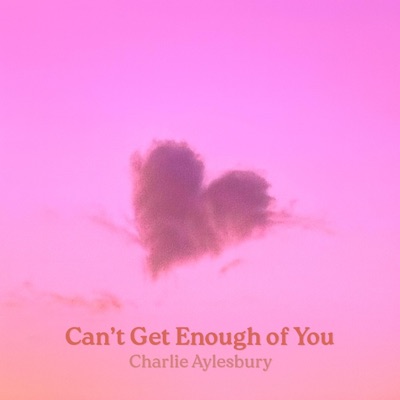 Can't Get Enough of You - Single