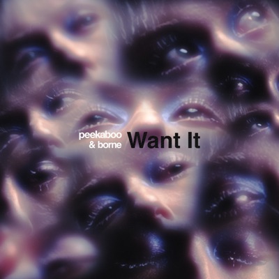 Want It - Single