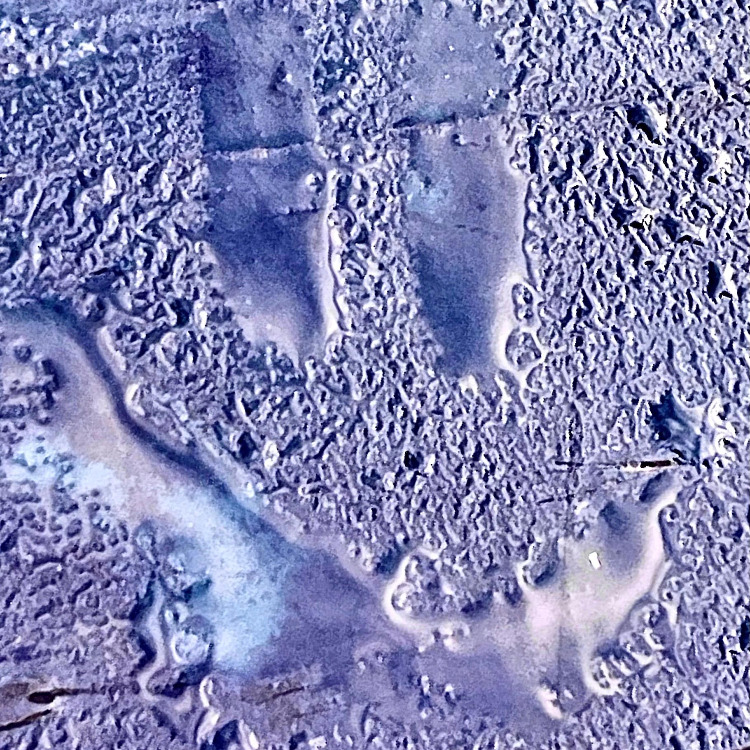 SET THEM ON FIRE - Single