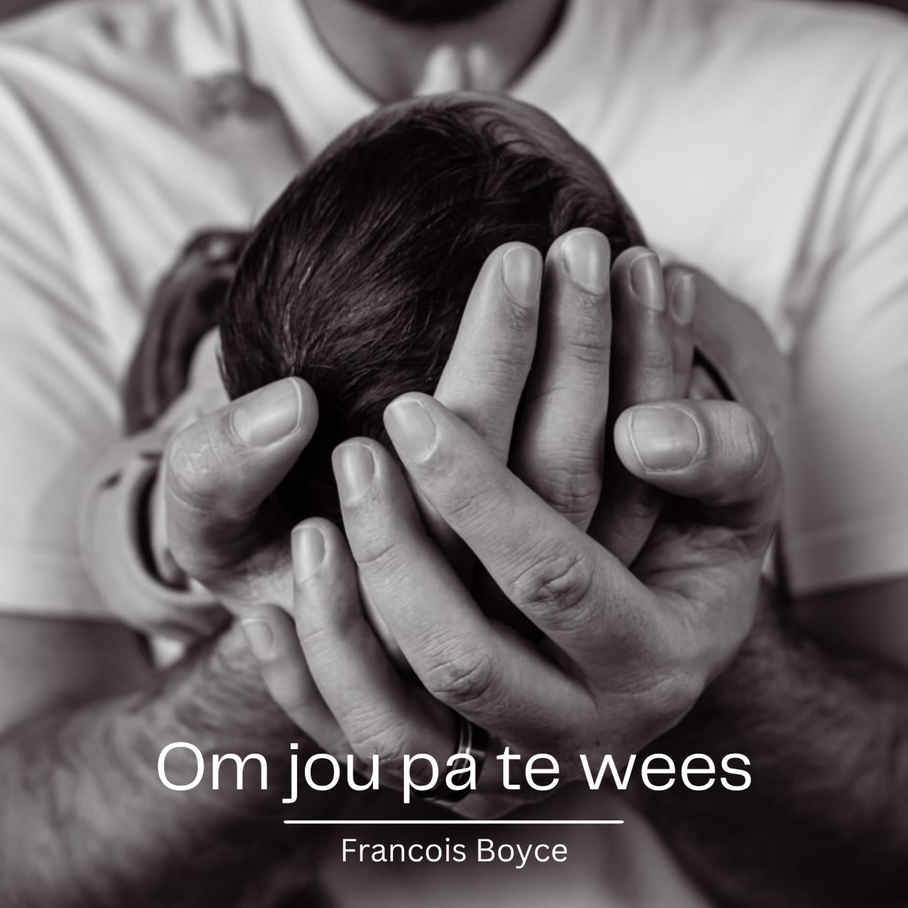 Om jou pa te wees - Single
