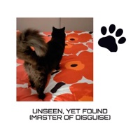 Unseen Yet Found (Master of Disguise) - Single - Julefjollene