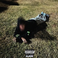 Divergente Incomprendido - W33DCHO