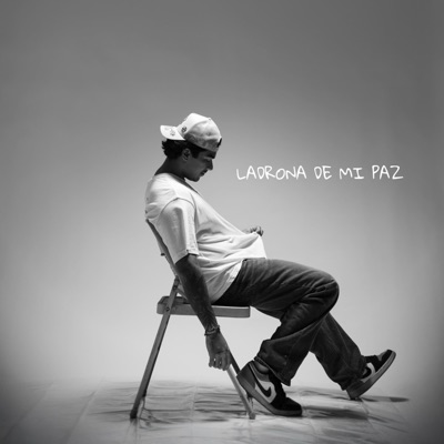 LADRONA DE MI PAZ - Single