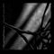 Lately (Adam Ten & Mita Gami Remix) - RÜFÜS DU SOL lyrics