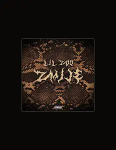 Lil Zooを聴いたり、ミュージックビデオを鑑賞したり、経歴やツアー日程などを確認したりしましょう！