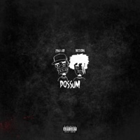 POSSUM - Single - Notions & Zero 610