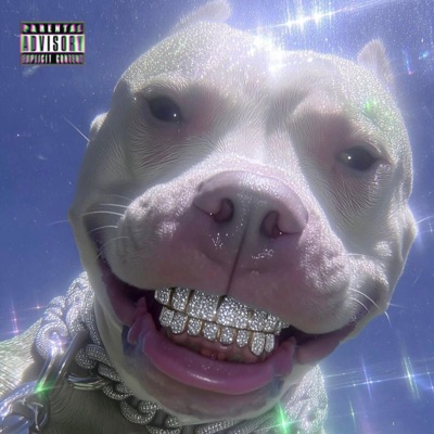 xDOS - Single