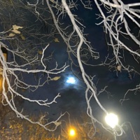 picuda - Single - DJ PABLO!!!!!