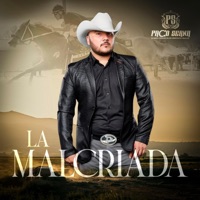LA MALCRIADA - Single - Paco Serna