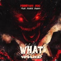 What You Like (feat. Richie Guapo & Dinero Tarantino) - Single - Kiddstarr GOO