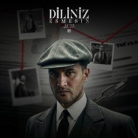 Diliniz Esmesin - EP - AE25