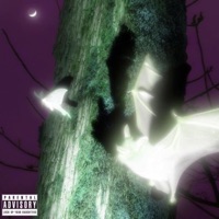 noctámbulo - Single - Bnran