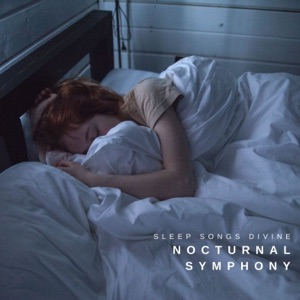 Nocturnal Symphony: Ambient Sleep Music