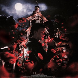 Романтика ЛУЧИК