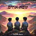 Sheves Achim