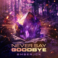 Never Say Goodbye - Single - Bmberjck