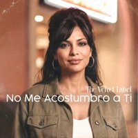 No Me Acostumbro A Ti - Single - The Velvet Label