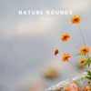 Nature Sounds Therapy - Single