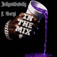 In the mix (feat. Sergi) - Single - Jellywitdabelly