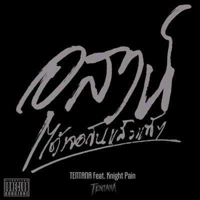 อุสาห์ได้เจอกันแล้วแท้ๆ (feat. Knight Pain) - Single