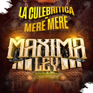 La Culebritica - El Mere Mere (En vivo) - Single