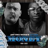 MONEY MOTIVATED FLOW (feat. TKO) - Single - Ant the Menace