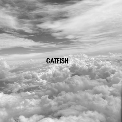 Catfish cover art