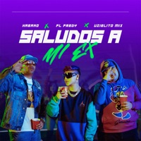 Saludos a mi Ex - Single - El Habano, FL Fredy & Uzielito Mix