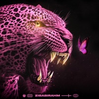 ZibaBirahm - Single - Kiarap313