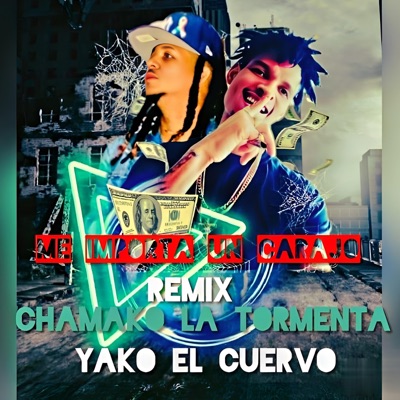 Me Importa Un Carajo (feat. Yako El Cuervo) [Remix] - Single