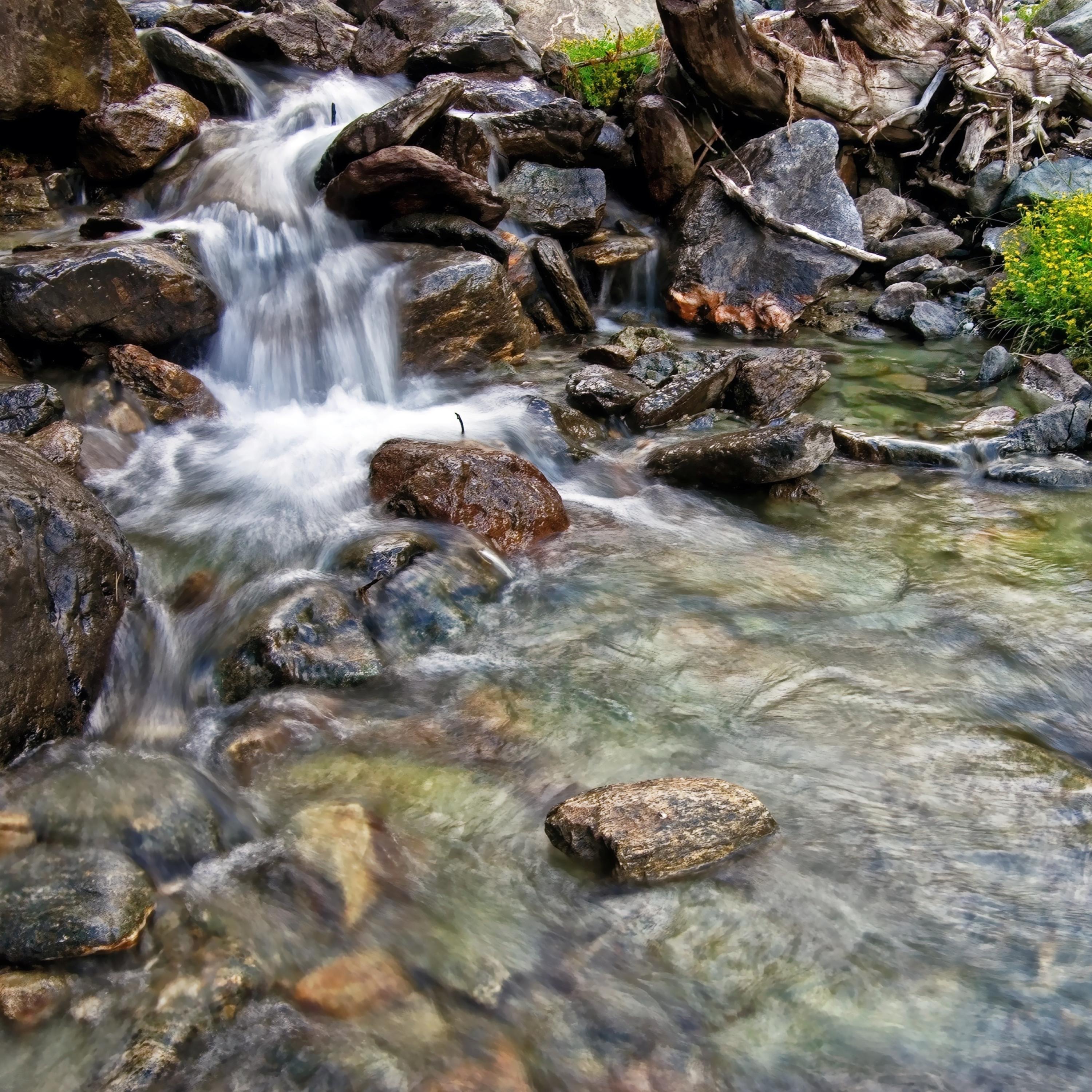 Clear and Gentle Stream - Single