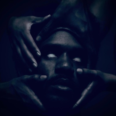 VINYL(s): LUCID EDITION [Slowed & Shroomed] [feat. Wakai] - Single