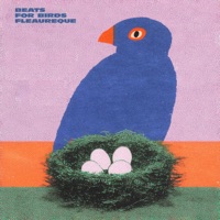beats for birds - EP - Fleaureque