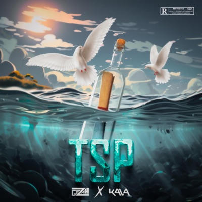 TSP (feat. Kava) - Single