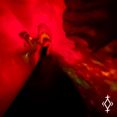 Destroyed Dreams (feat. jara) - Single