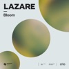 Lazare - Bloom