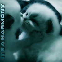 IT'S A HARMONY (feat. Seikyo) - Single - Pleezy