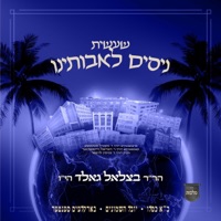 Nisim - ניסים - Single - Hershy Weinberger & Tzali Gold