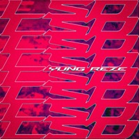 LSD - Single - Yung Reze