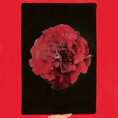 Escucha A Thousand Years In Another Way de Activity