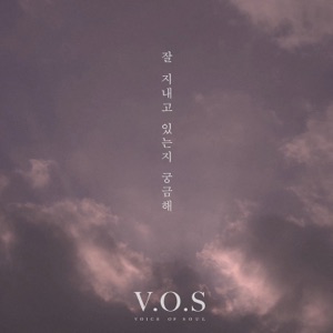 잘 지내고 있는지 궁금해 - Single