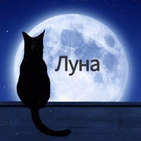 Луна - Single - Kot