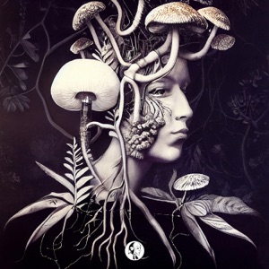Cerebral Awakening (Remix Edition) - Single