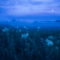 circular - Single - Branwen & Lonely Thoughts