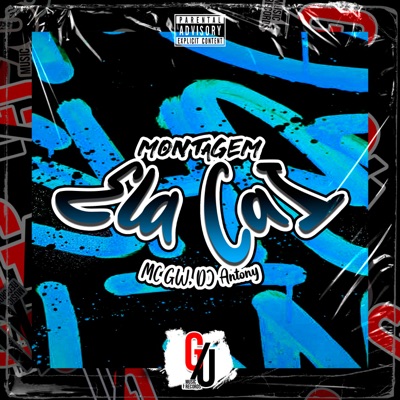 Montagem Ela Cai - Single