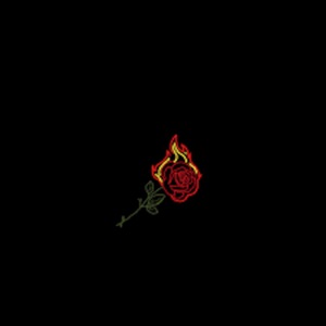starting over - Single